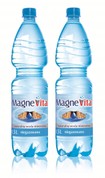 MagneVita  1,5 L niegazowana